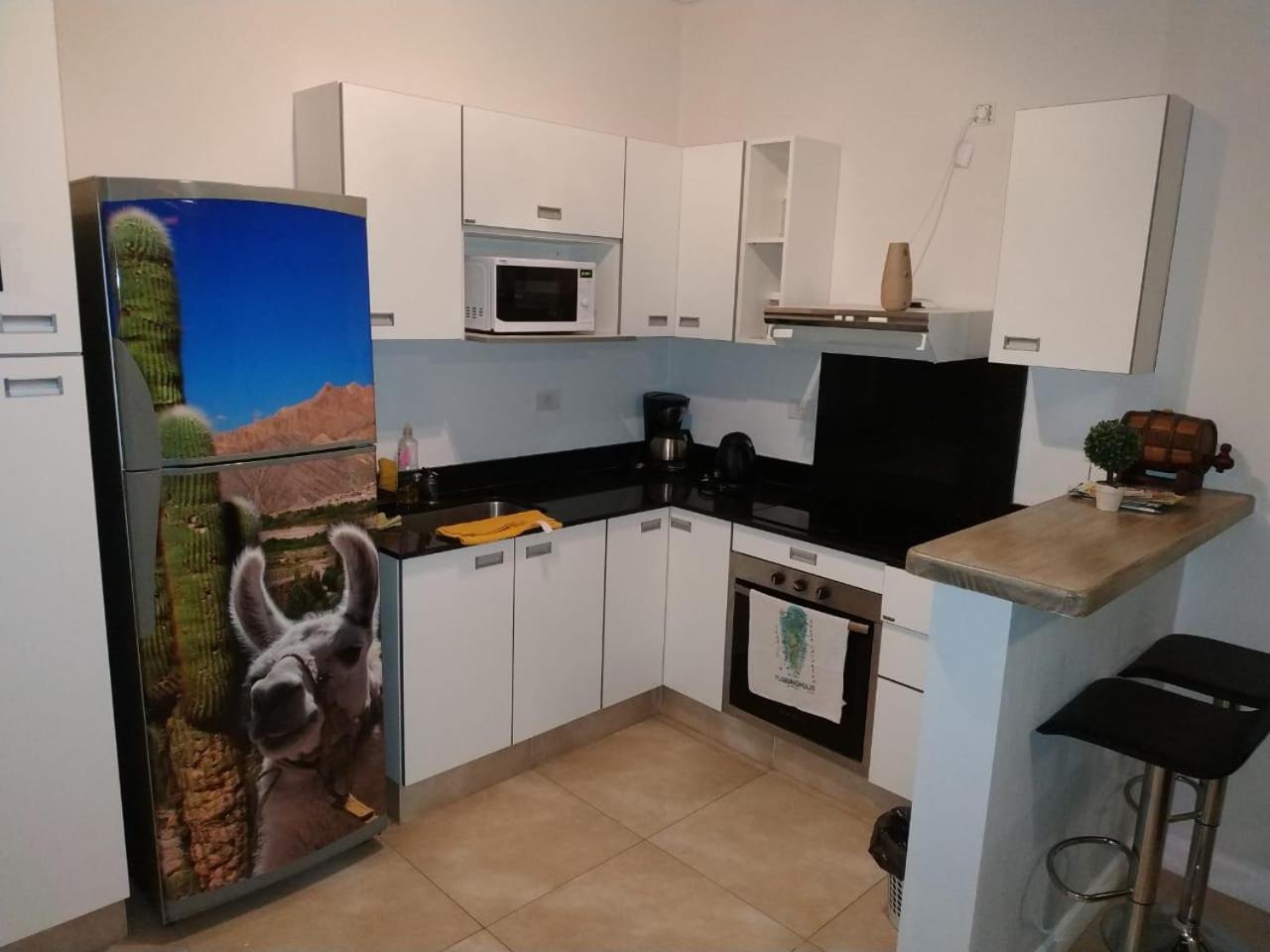 Appartement Apartamento Leguizamon à Salta Extérieur photo